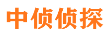 阳明市调查公司